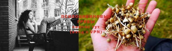 гидра Алексин