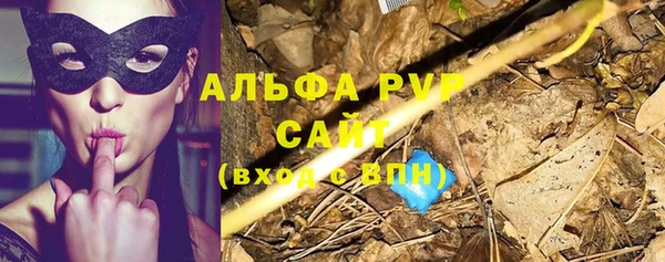 гидра Алексеевка
