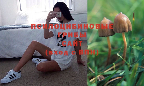 мет Армянск