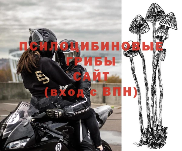 гидра Каменногорск