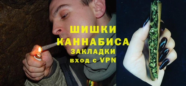 соль ск Арсеньев